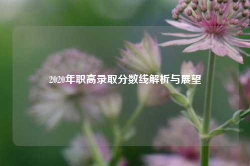 2020年职高录取分数线解析与展望